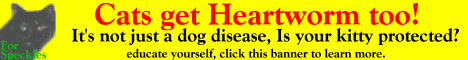 Cats get heartworm too, it's not just a dog disease!