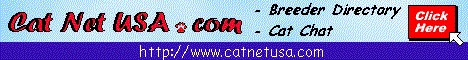 Cat Net USA