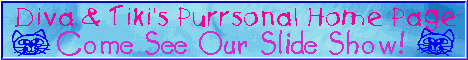 Diva and Tiki's Purrsonal Homepage