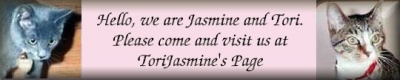 ToriJasmine's Purrsonal Homepage