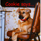Cookie's Award