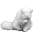 [Sneezing Cat from Nekoani by Hidetaka Hikashi]