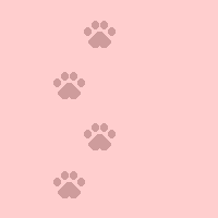 [Pawz10]