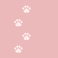 [Pawz11]
