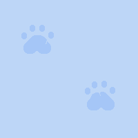 [Pawz15]