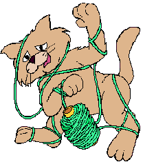 [cat with yarn]