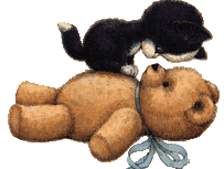 [A cat with its teddy bear]