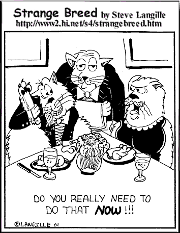 A Strange Breed cat cartoon by Steve Langille