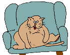 [CatStuff]