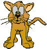 [CatStuff]