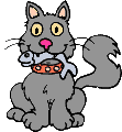 [CatStuff]
