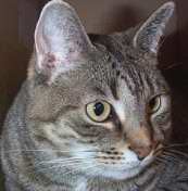 [Carly owns our family and was saved from the streets.]