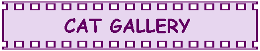 [Cat Gallery Title]