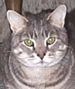 [Teufel owns my next-door friends and was saved from street life.]