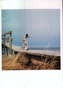 My picture<br> Item #S208 <br> Waiting