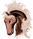 Blinking Eye of Horse