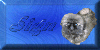 Sign Guestbook