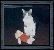 Dog & Barney