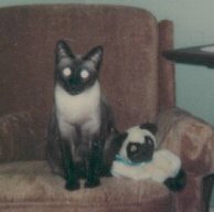 measue and friend.jpg