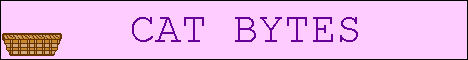 Cat Bytes