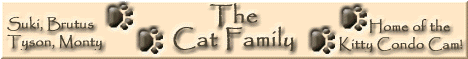 The Cat Family