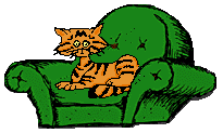 cat on the couch!
