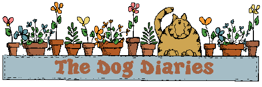 The Dog Diaries