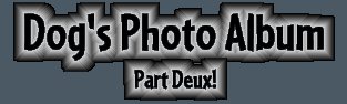 Dog's Photo Album Part Deux!