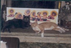 dakota and hopi.jpg