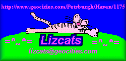 The Cat's Meow (AKA The Liz Cats)