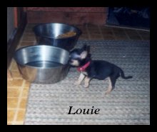 Louie