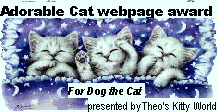 Theo's Kitty World Award