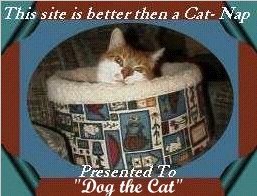better than a cat nap award!