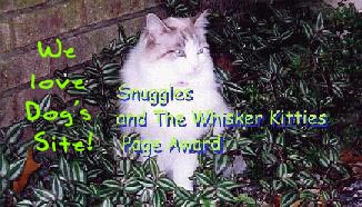 The Whisker Kittie's Award