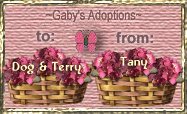 adoption certificate