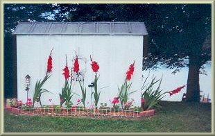shed garden