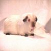 thumbnail of your picture #6