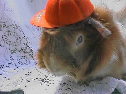 thumbnail of your picture #2