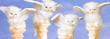 Petsburgh Angel Program