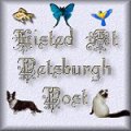 Petsburgh Post