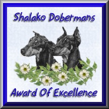 shalako_award
