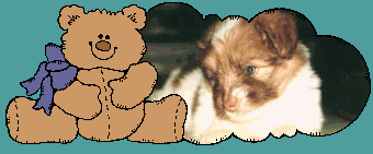 animated_photo