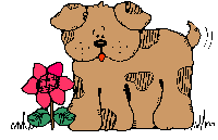pets