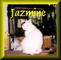 Jazmine