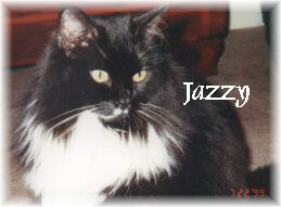 Jazzy