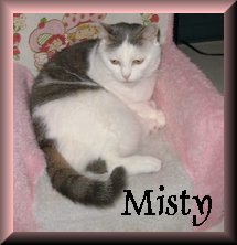 Misty
