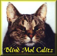 Blind Mol Calitz