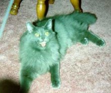 Lucy Panting