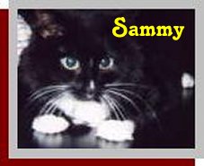 Sammy