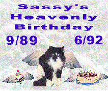 Sassy's Birthday Party From Rainbow Bridge